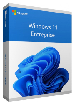 Microsoft Windows® 11 IoT Enterprise 2024 Entry
    